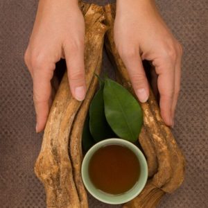Ayahuasca