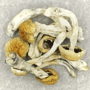 Chewtin Nepal Magic Mushroom​s