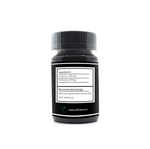 INfinite-Rx-Reboot-Microdosing-Mushroom-Capsules-Ingredients-600x599-1.webp