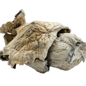 Goliath Penis Envy Magic Mushrooms