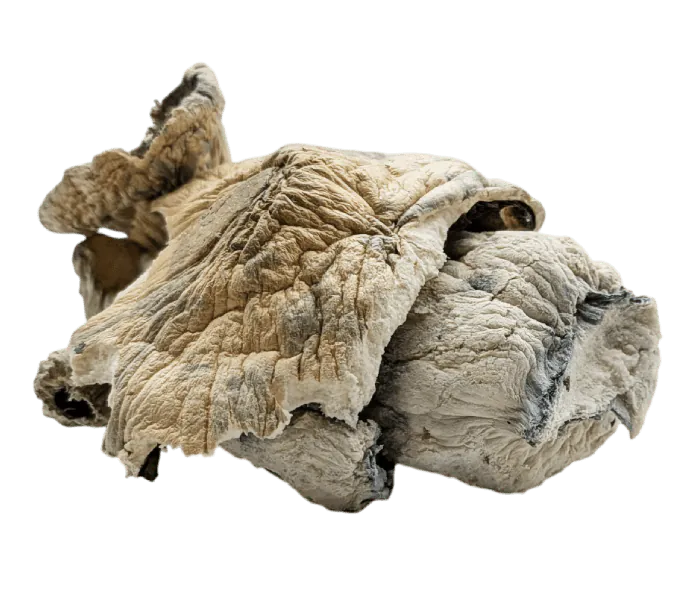 goliath-penis-envy-shrooms.png.webp